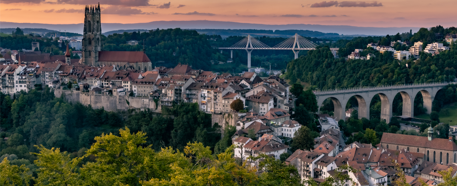 Freiburg_Bild